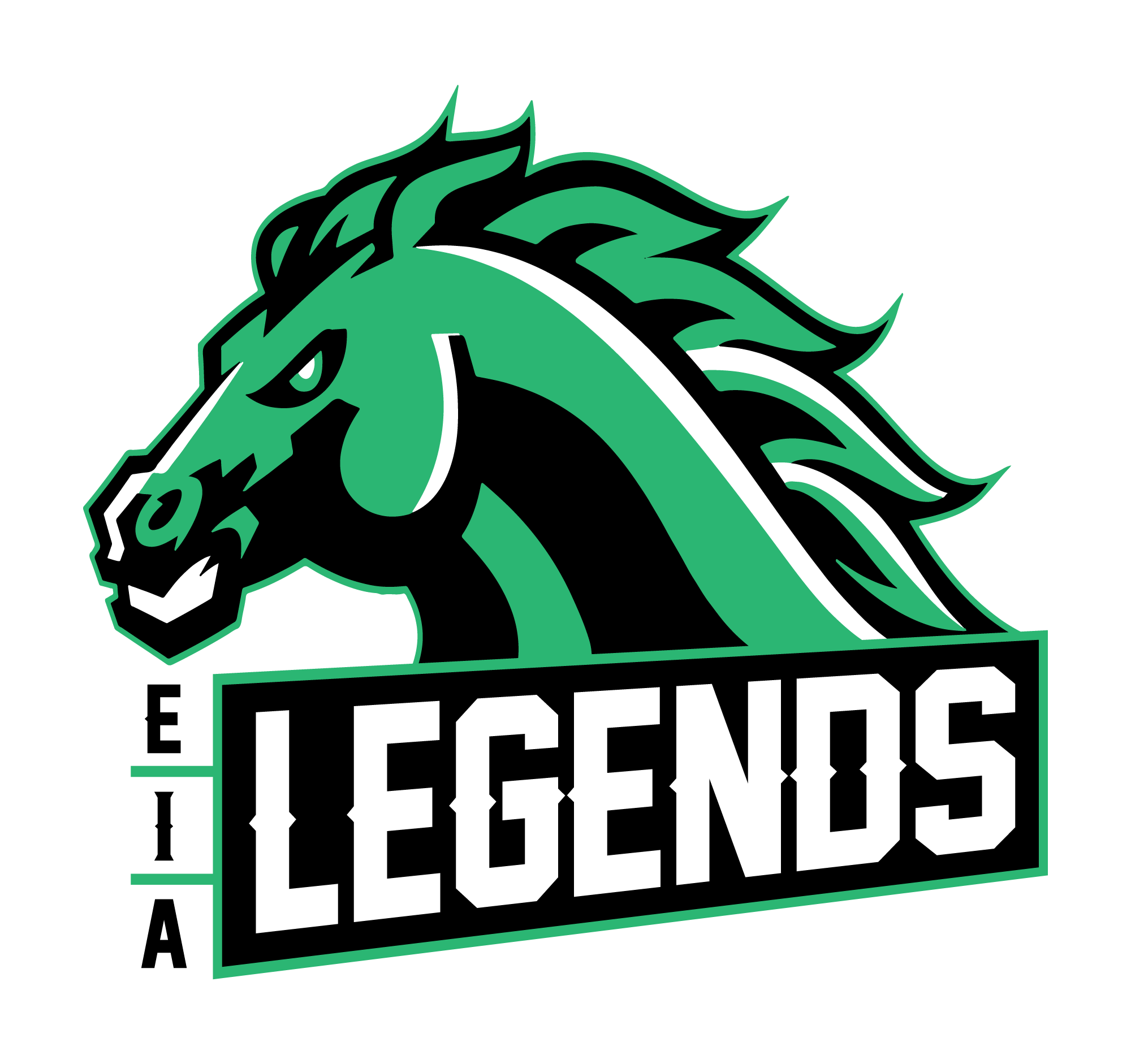 Edmonton Islamic Academy Boys Flag Football